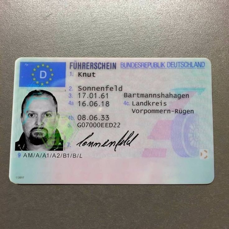 führerschein kaufen